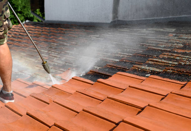 Best Best Pressure Washing Companies  in Hernando, MS