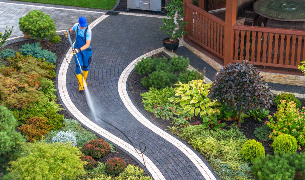 Best Pressure Washing Services Near Me  in Hernando, MS